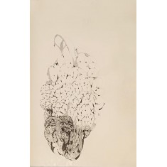 Ozma Bhatti, Pen On Paper, AC-OB-001 Ozma Bhatti, Pen On Paper, AC-OB-001